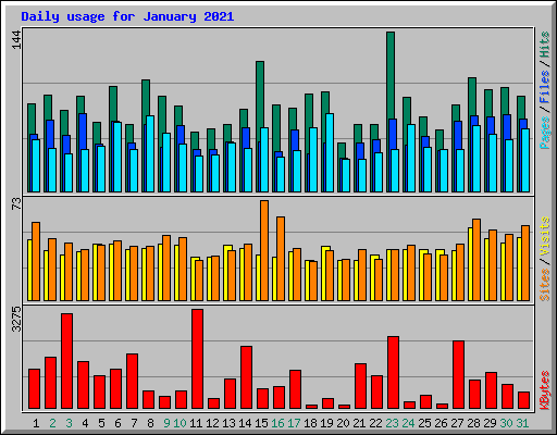 Daily usage for January 2021