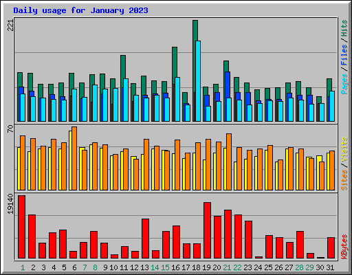 Daily usage for January 2023