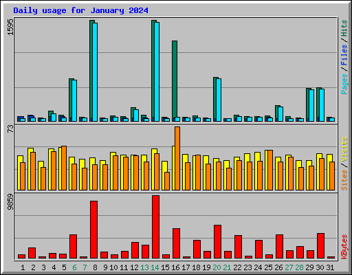 Daily usage for January 2024