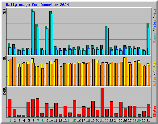 Daily usage for December 2024