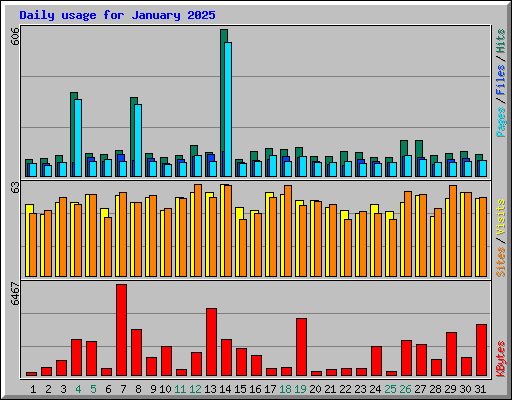Daily usage for January 2025
