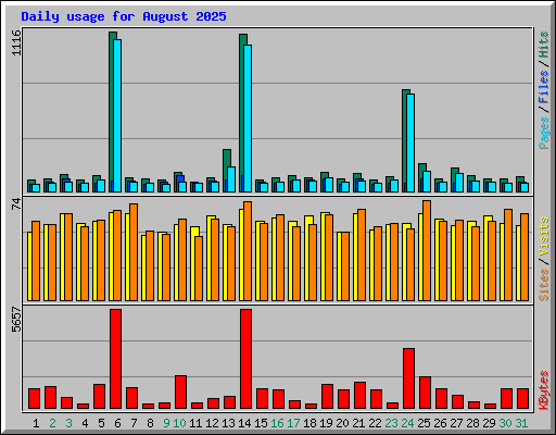 Daily usage for August 2025