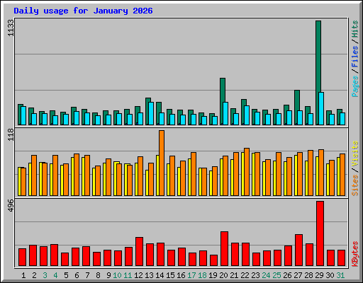 Daily usage for January 2026