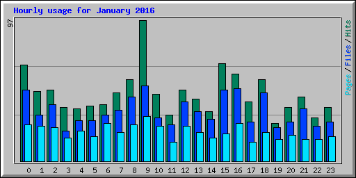 Hourly usage for January 2016