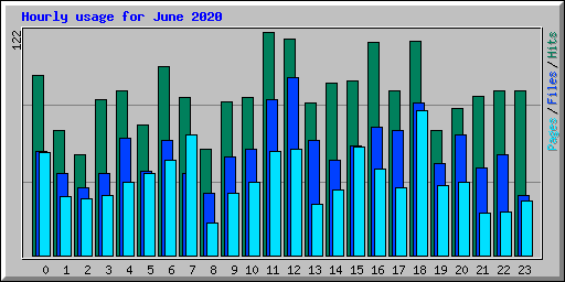 Hourly usage for June 2020