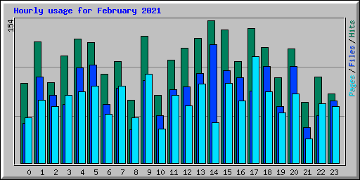 Hourly usage for February 2021