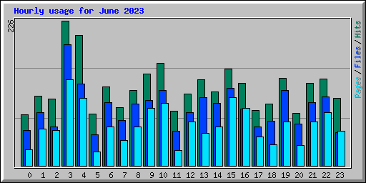 Hourly usage for June 2023