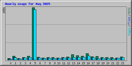 Hourly usage for May 2025