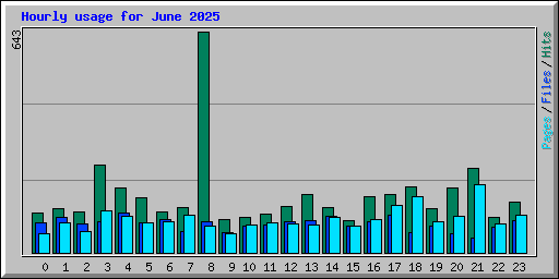 Hourly usage for June 2025