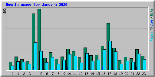 Hourly usage for January 2026